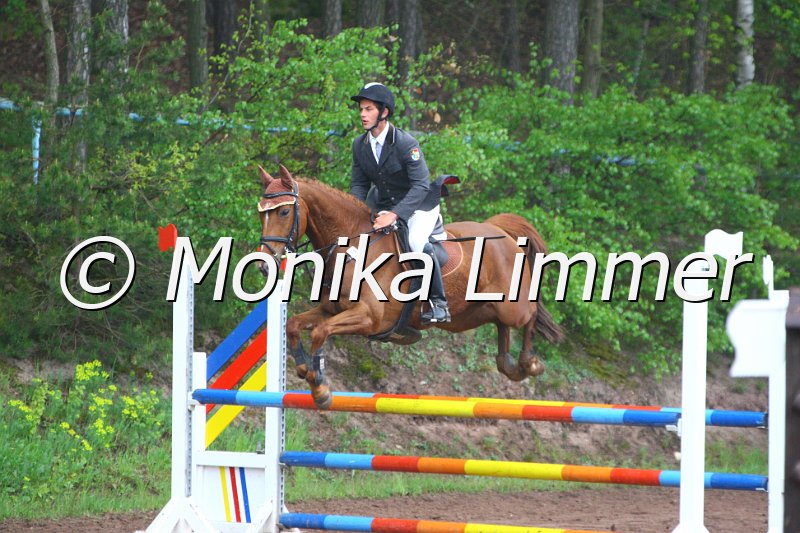 005L4658_La Ola_Springpferde A xx.JPG